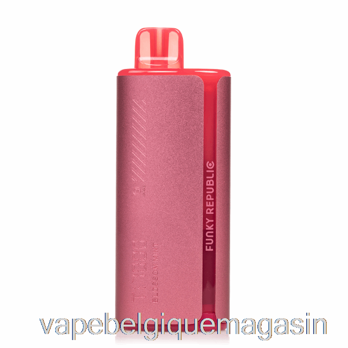 Vape Shop Bruxelles Funky Lands Ti7000 Jetable Fleur De Menthe